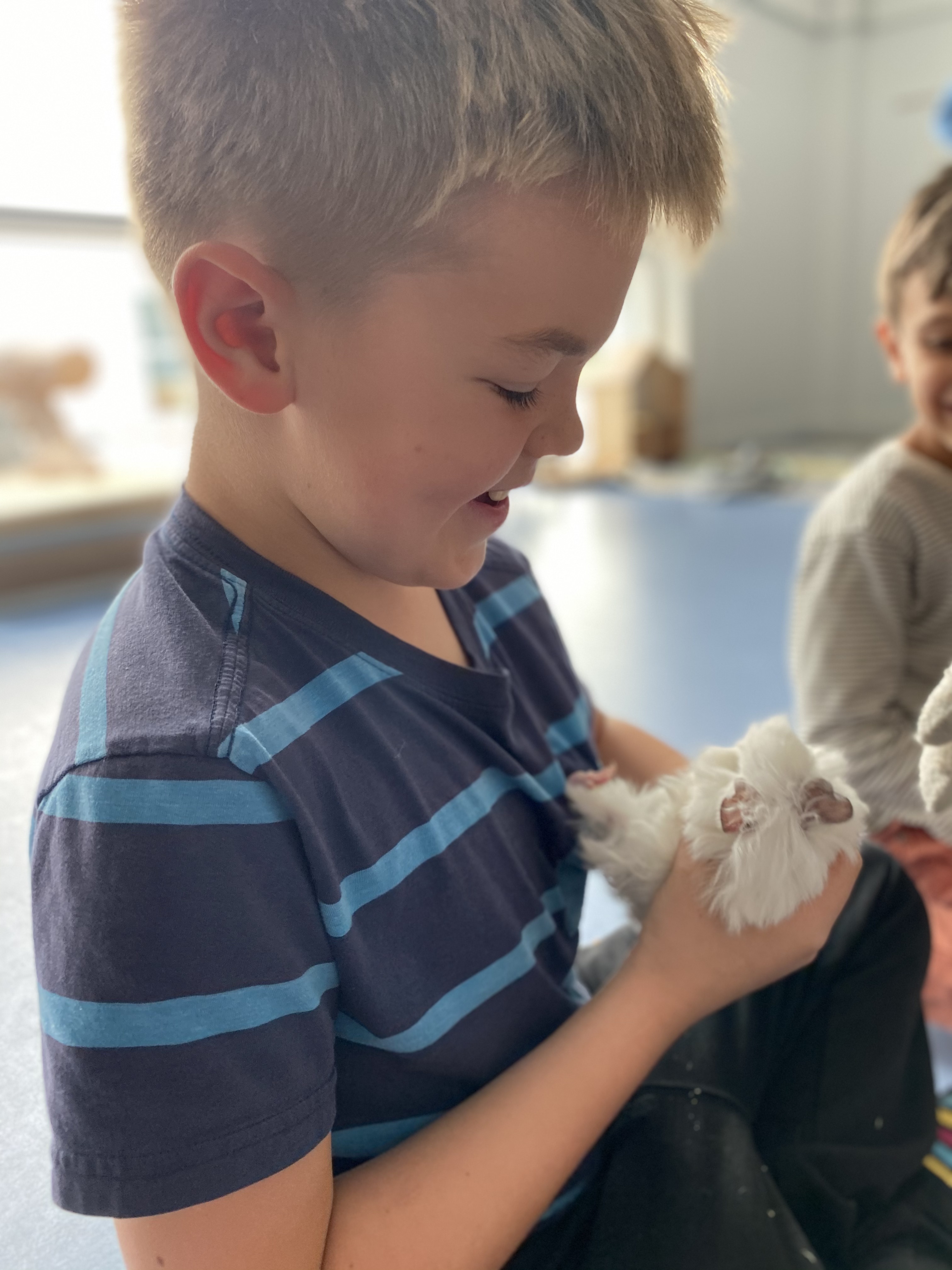 animal visits to nurseries